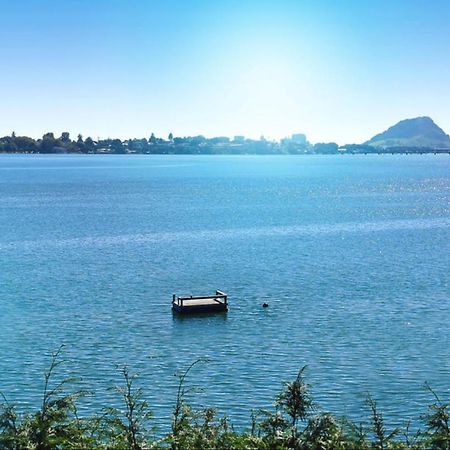 Apartment Near The Water Tauranga Ngoại thất bức ảnh