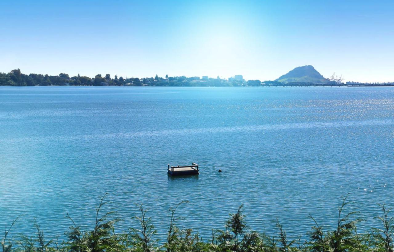 Apartment Near The Water Tauranga Ngoại thất bức ảnh